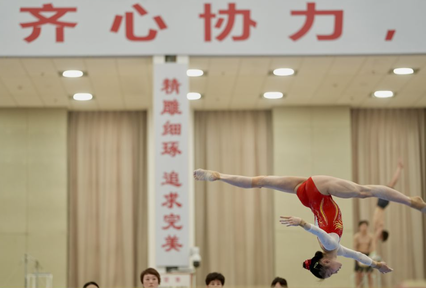 乐鱼体育官网app平台安全性与隐私保护